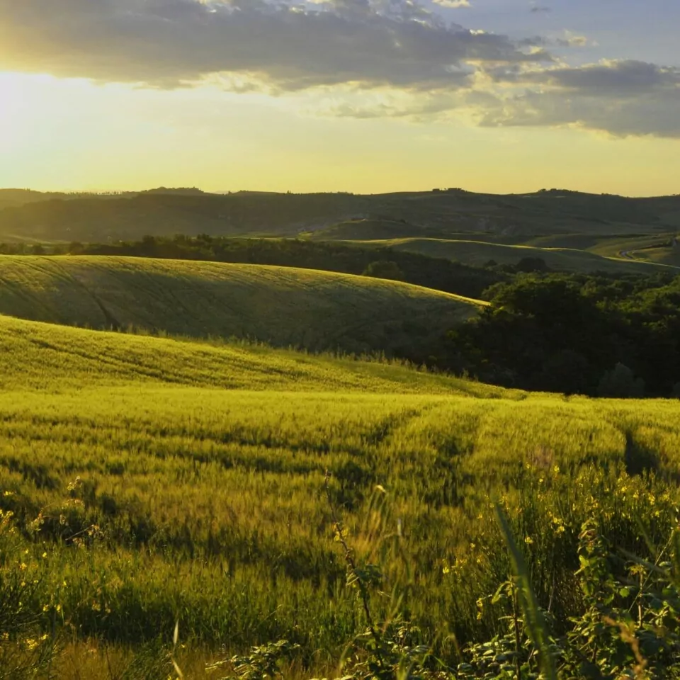 Tuscany